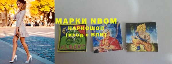 гашик Арсеньев