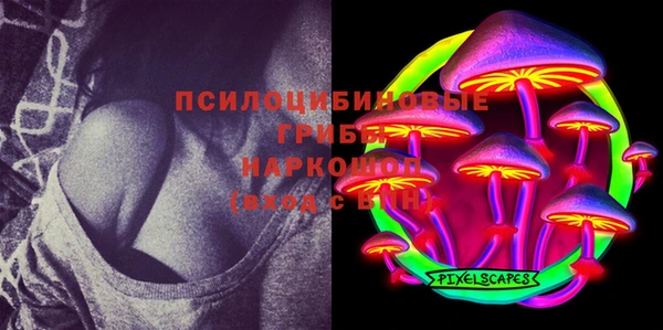 гашик Арсеньев