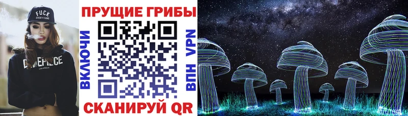 Галлюциногенные грибы Psilocybe  Купить где  Нязепетровск 